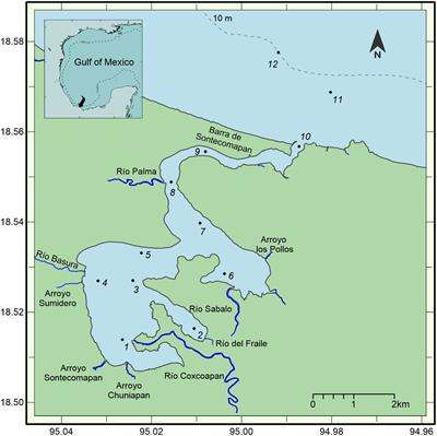 Zooplankton functional traits in a tropical estuarine system: Are lower and upper estuaries functionally different?